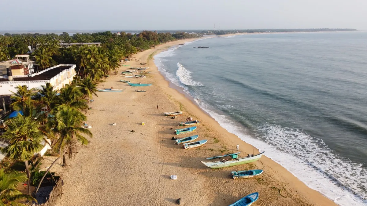Aerial view of Arugam Bay on the east coast: a long sandy beach with palm trees and fishing boats