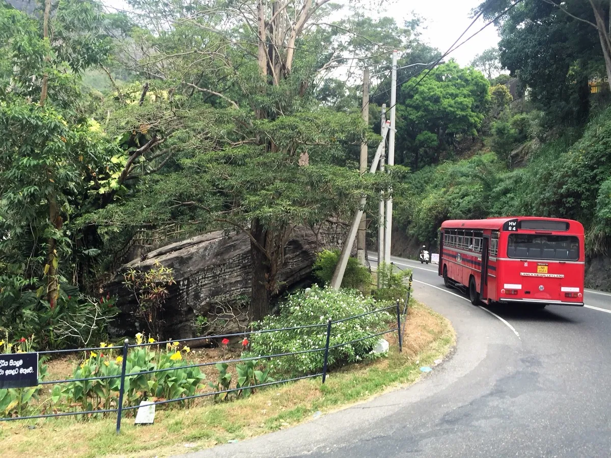 A red public bus seen from behind as it takes a hairpin bend on the Colombo-Kandy road through the wooded Kadugannawa hills