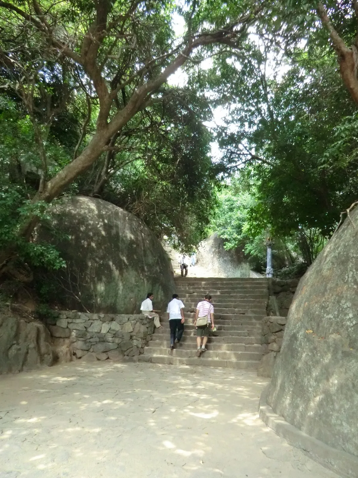 Stone steps climbing between boulders and trees on the path up to the Dambulla caves