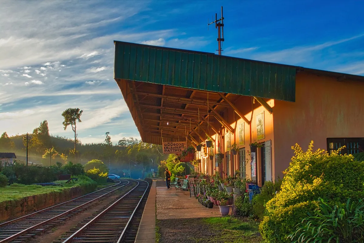 Pattipola railway station at sunrise: a quiet platform with flower pots under a green roof, beside the tracks