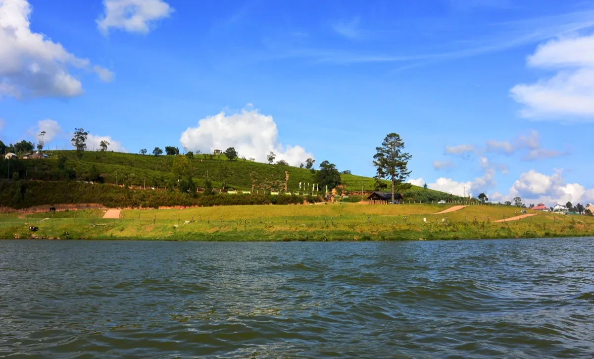 Gregory Lake in Nuwara Eliya, choppy water in the foreground and a grassy lakeshore below a tea-planted hill under a blue sky
