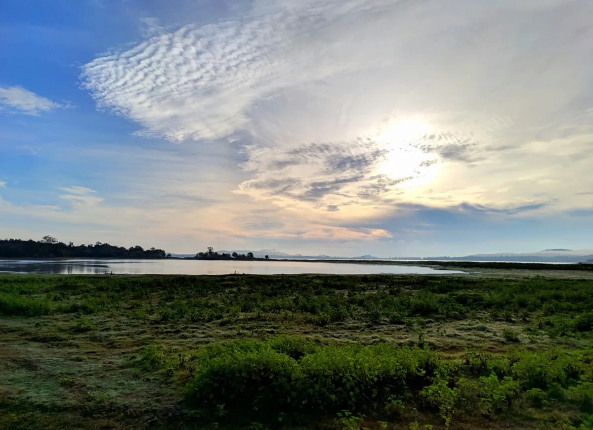 Minneriya reservoir in soft morning light, with green grassland in front and distant hills