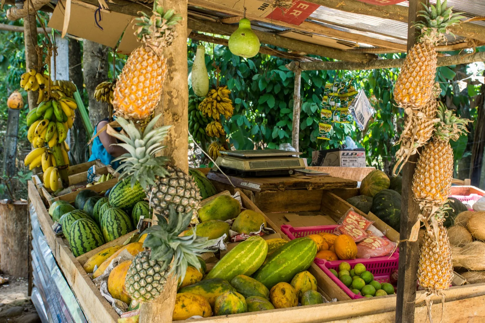 A roadside fruit stall in Sri Lanka piled with pineapples, papayas and watermelons, with a weighing scale
