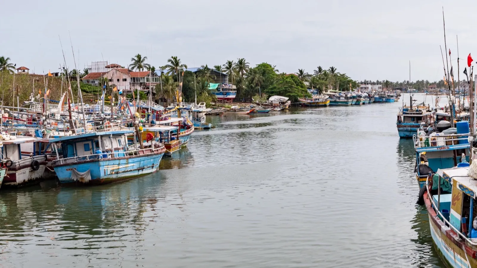 Rows of blue and white fishing boats with flags and masts moored along a channel of the Negombo Lagoon under a pale sky