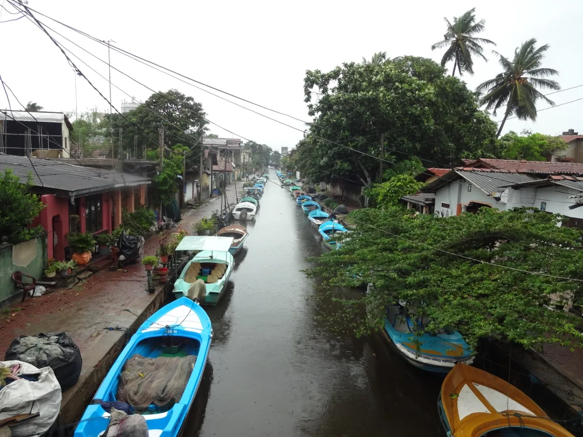 Small blue and white boats moored along both sides of the narrow Dutch Canal in Negombo, with houses and trees lining the banks on a rainy day