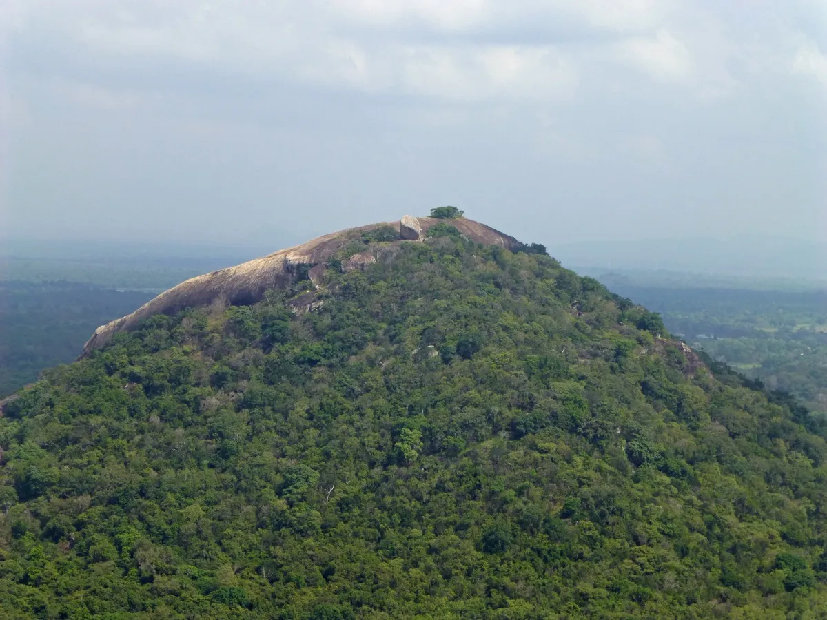 Pidurangala, a forested rock with a bare granite top, seen from Sigiriya