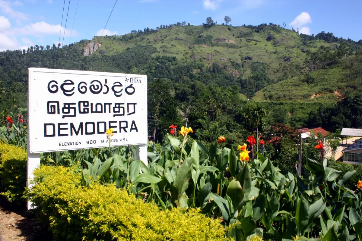 A white name board reading Demodara in Sinhala, Tamil and English script in front of green hills