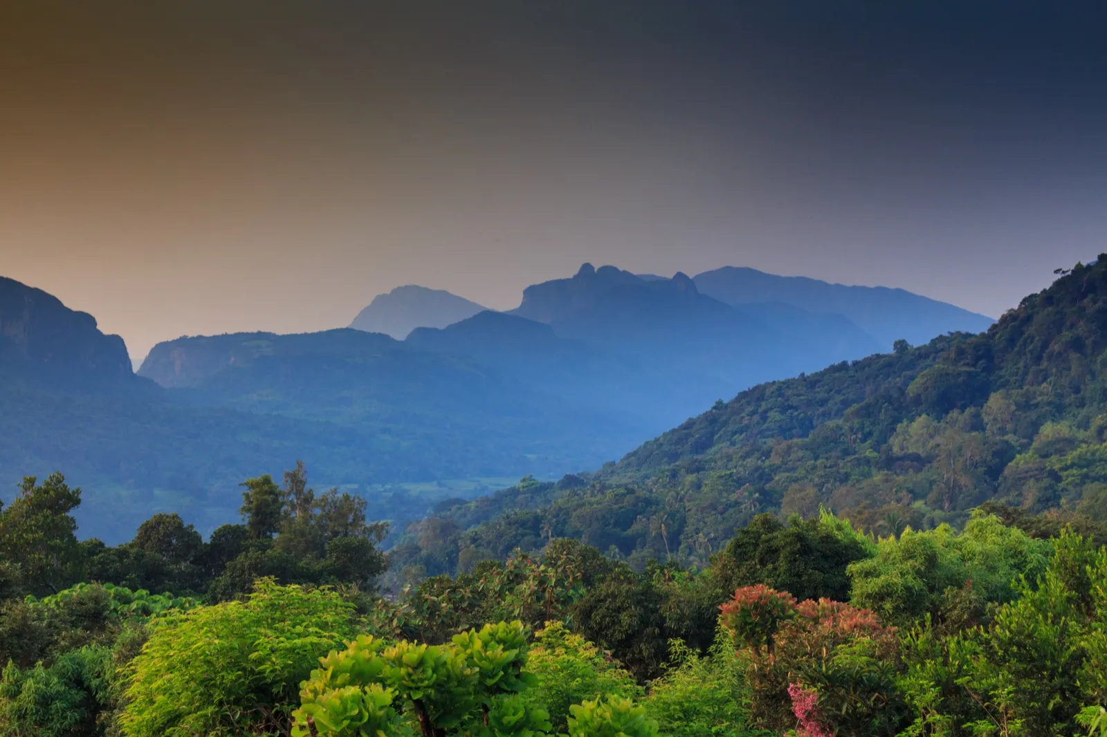 Layered blue ridges and jagged peaks of the Knuckles range in early-morning haze above a green forested valley in Sri Lanka