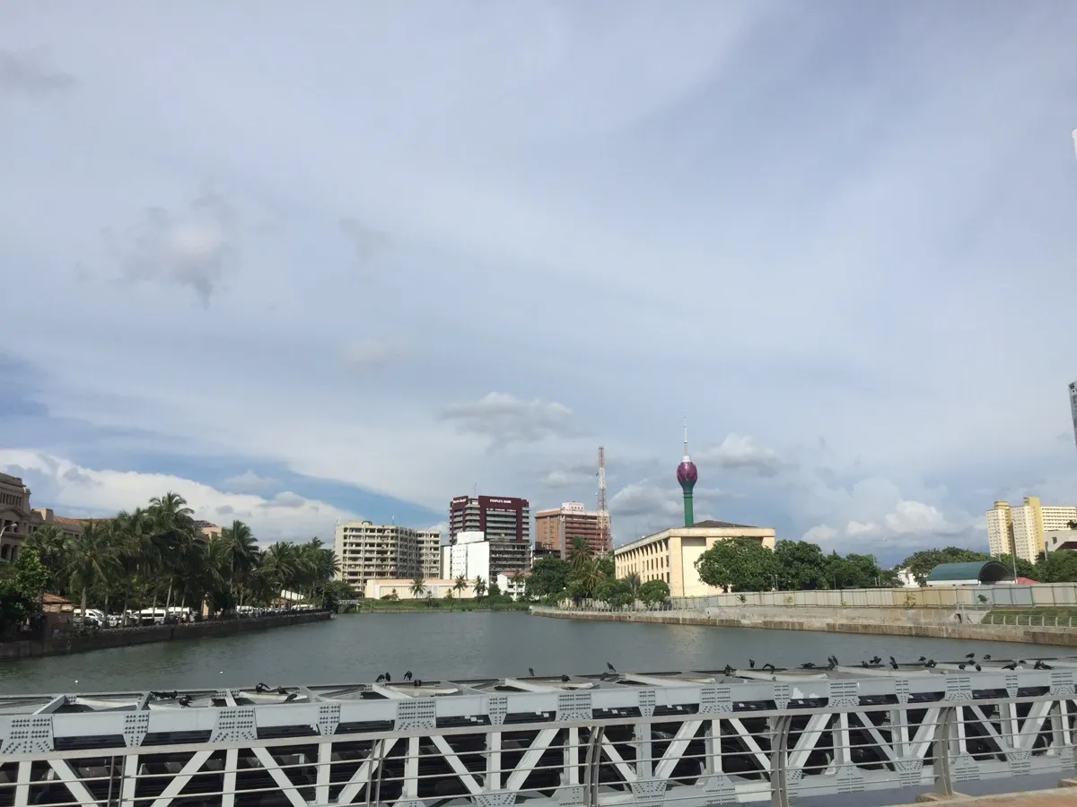 A tall green tower topped with a purple lotus-bud shape rising over a calm city lake, seen from a steel footbridge with crows perched on the railing