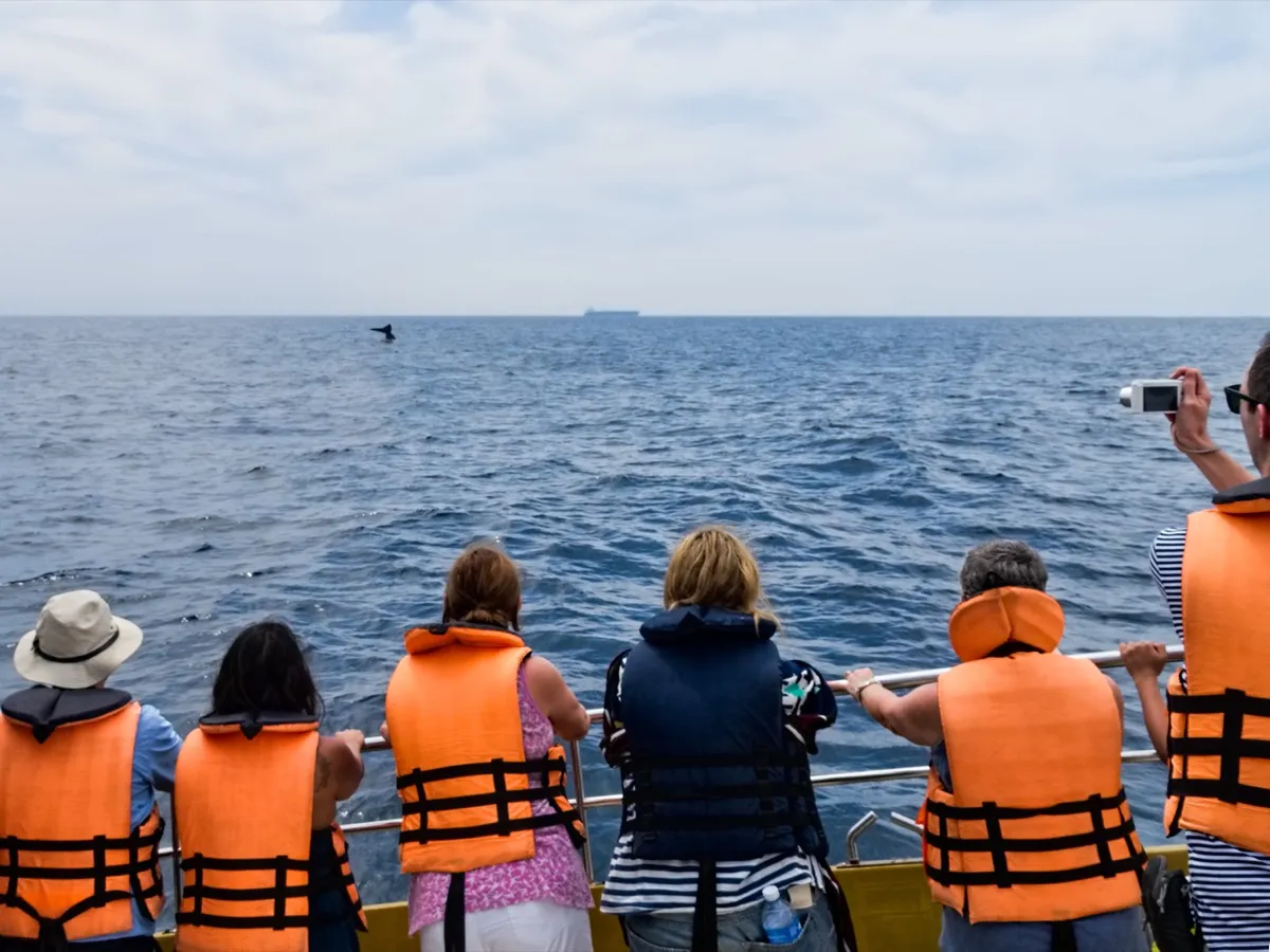 Whale watchers on a boat watch a blue whale's tail rise from the sea, with a large cargo ship on the horizon